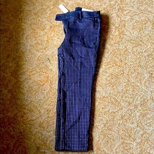 loft business pants